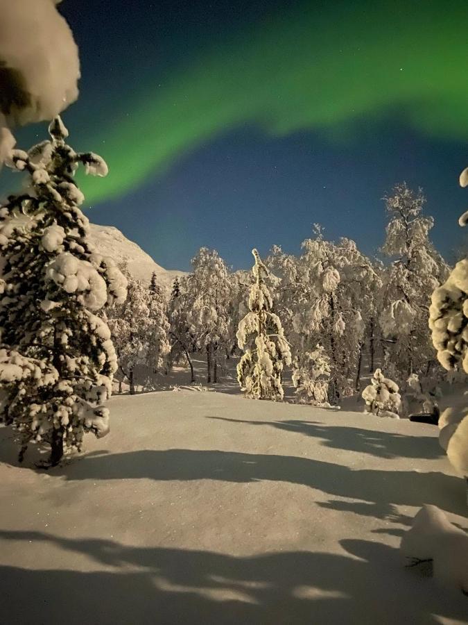 Oteren North Experience Basecampヴィラ エクステリア 写真